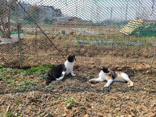 박순희님의 그곳에서 농사하게 된 계기는? · 참여글 작성글 사진