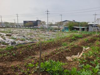 박순희님의 그곳에서 농사하게 된 계기는? · 참여글 작성글 사진