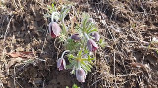 김방식님의 그곳에서 농사하게 된 계기는? · 참여글 작성글 사진