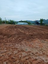 팜모닝 그곳에서 농사하게 된 계기는?·참여글 게시글 이미지