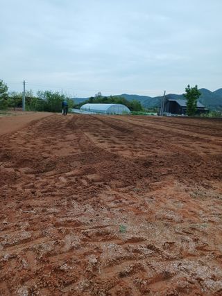 김영경님의 그곳에서 농사하게 된 계기는? · 참여글 작성글 사진