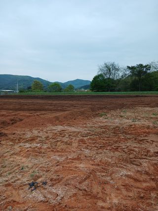 김영경님의 그곳에서 농사하게 된 계기는? · 참여글 작성글 사진