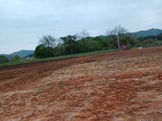 김영경님의 그곳에서 농사하게 된 계기는? · 참여글 작성글 사진