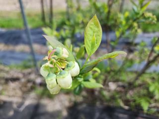 터골농장님의 자유주제 · 자유게시판 작성글 사진