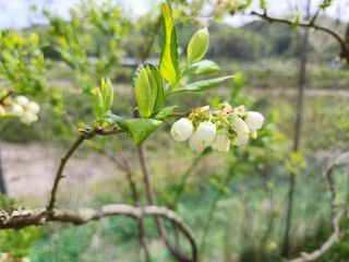 터골농장님의 자유주제 · 자유게시판 작성글 사진