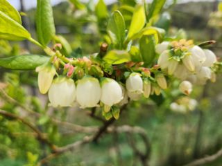 터골농장님의 자유주제 · 자유게시판 작성글 사진