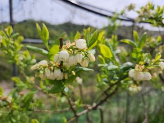 터골농장님의 자유주제 · 자유게시판 작성글 사진