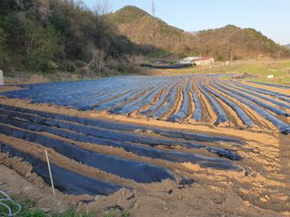 서리태님의 그곳에서 농사하게 된 계기는? · 참여글 작성글 사진