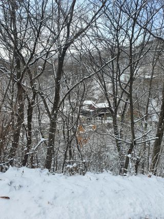 천안님의 그곳에서 농사하게 된 계기는? · 참여글 작성글 사진