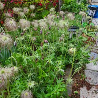 knlee님의 자유주제 · 자유게시판 작성글 사진