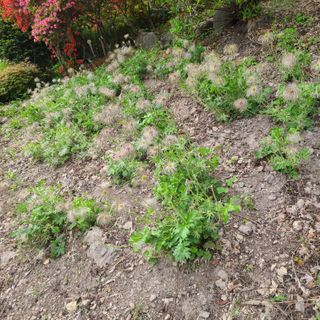 knlee님의 자유주제 · 자유게시판 작성글 사진