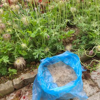 knlee님의 자유주제 · 자유게시판 작성글 사진