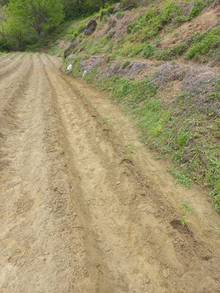 사무니님의 고추 · 영농일지 작성글 사진
