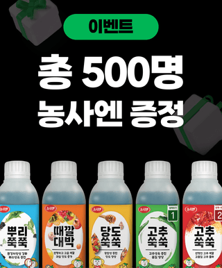 팜모닝님의 팜모닝공식 · 혜택 작성글 사진