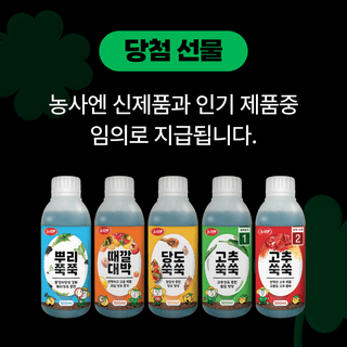 팜모닝님의 팜모닝공식 · 혜택 작성글 사진