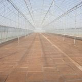 팜모닝 자유주제·사진전 게시글 이미지