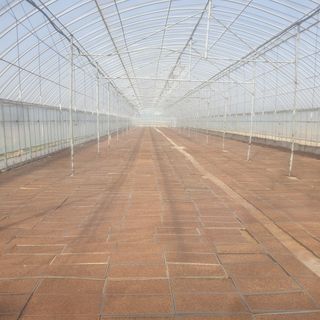 이병남님의 자유주제 · 사진전 작성글 사진