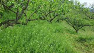 다온아띠농원 장현호님의 자유주제 · 자유게시판 작성글 사진