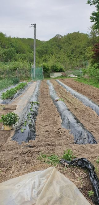 박선화님의 자유주제 · 자유게시판 작성글 사진