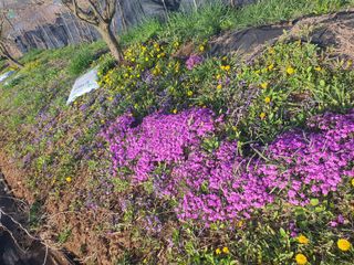 김송현님의 자유주제 · 사진전 작성글 사진