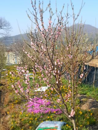 김송현님의 자유주제 · 사진전 작성글 사진