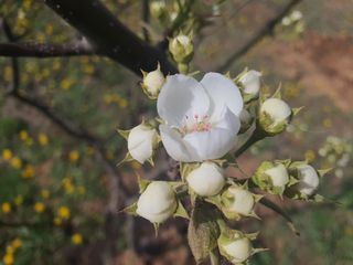 김송현님의 자유주제 · 사진전 작성글 사진