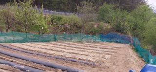 해안로님의 그곳에서 농사하게 된 계기는? · 참여글 작성글 사진