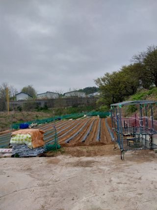 해안로님의 그곳에서 농사하게 된 계기는? · 참여글 작성글 사진