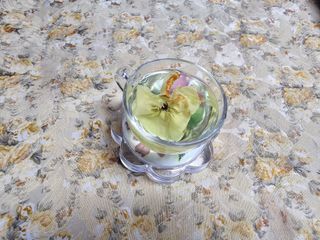 귀농맘님의 자유주제 · 자유게시판 작성글 사진