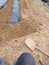 팜모닝 그곳에서 농사하게 된 계기는?·참여글 게시글 이미지