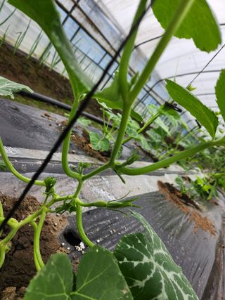 갑돌이님의 자유주제 · 자유게시판 작성글 사진