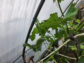 갑돌이님의 자유주제 · 자유게시판 작성글 사진