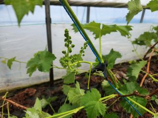 갑돌이님의 자유주제 · 자유게시판 작성글 사진