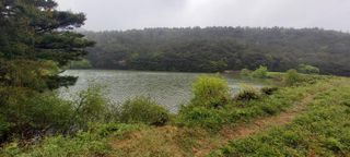 블루베리13935님의 그곳에서 농사하게 된 계기는? · 참여글 작성글 사진