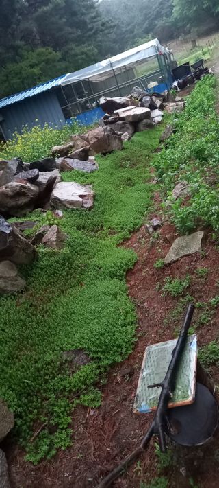 블루베리13935님의 그곳에서 농사하게 된 계기는? · 참여글 작성글 사진