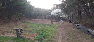 블루베리13935님의 그곳에서 농사하게 된 계기는? · 참여글 작성글 사진