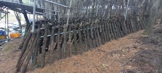 블루베리13935님의 그곳에서 농사하게 된 계기는? · 참여글 작성글 사진