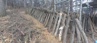 블루베리13935님의 그곳에서 농사하게 된 계기는? · 참여글 작성글 사진