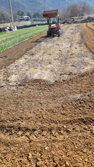 장순연(부경농원)님의 그곳에서 농사하게 된 계기는? · 참여글 작성글 사진