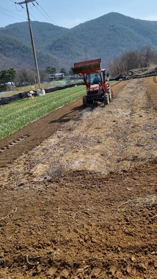 장순연(부경농원)님의 그곳에서 농사하게 된 계기는? · 참여글 작성글 사진