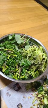 팜모닝 자유주제·자유게시판 게시글 이미지