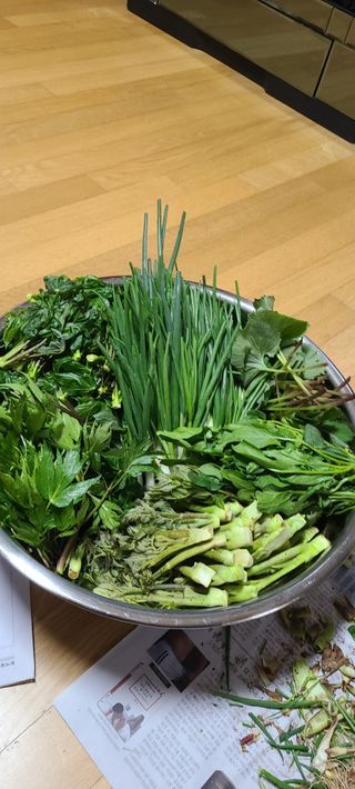 Mmebaik님의 자유주제 · 자유게시판 작성글 사진