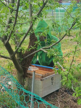 엘림농장님의 자유주제 · 자유게시판 작성글 사진