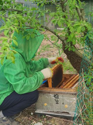 엘림농장님의 자유주제 · 자유게시판 작성글 사진