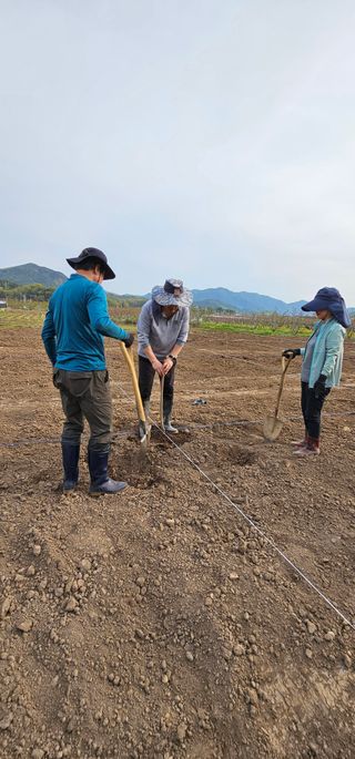 남석희님의 복숭아 · 영농일지 작성글 사진