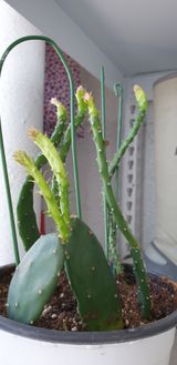 팜모닝 자유주제·자유게시판 게시글 이미지