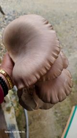 팜모닝 그곳에서 농사하게 된 계기는?·참여글 게시글 이미지