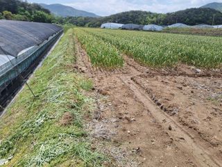 정영기대산축산농부♡님의 벼 · 영농일지 작성글 사진