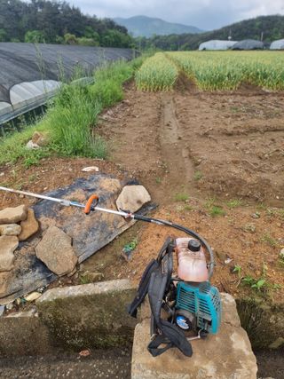 정영기대산축산농부♡님의 벼 · 영농일지 작성글 사진