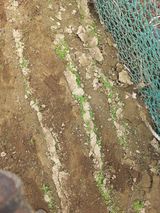 팜모닝 자유주제·자유게시판 게시글 이미지